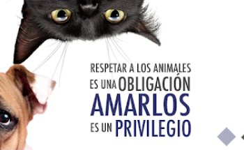 Hospital Veterinario Vistalegre