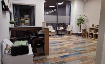 Consultorio Veterinario El Plantío