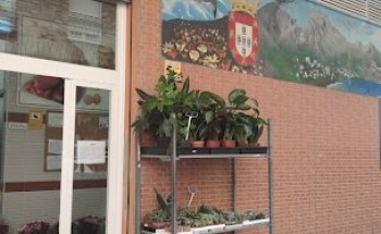 Clínica Veterinaria Real 90