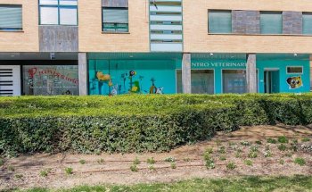 centro veterinario Surpett