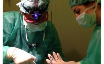 VETERHOUSE Clínica Veterinària