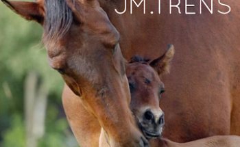 CLINEQUINA-JM.Trens