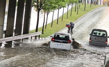 Grup de Sanejament Porcí de Girona
