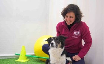 CENTRO DE REHABILITACIÓN Y ACUPUNTURA REIVET