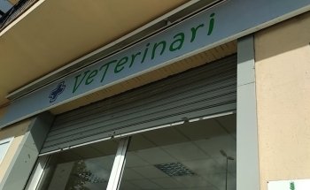 Veterinari Sarria