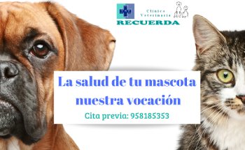 Clínica Veterinaria Recuerda