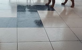 Veterinaria El Arca de Noe