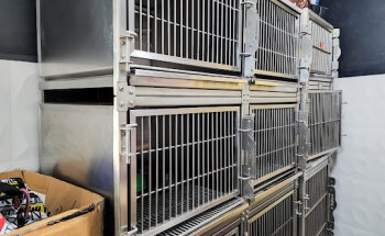 EL DOC | Servicios Veterinarios Integrales