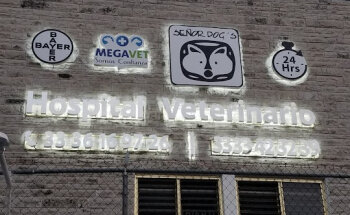 Veterinary Hospital Señor Dog´s