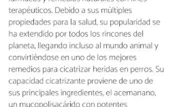 Veterinaria Sandoval