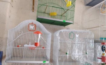 Veterinaria del centro