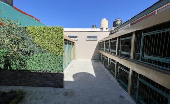 Clínica Veterinaria San Francisco