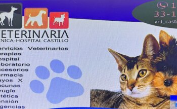 VETERINARIA CASTILLO