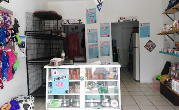 Veterinaria Cachorrisimo