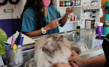 Veterinaria Pets Inc.