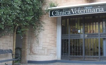 Clínica Veterinaria San Sebastián