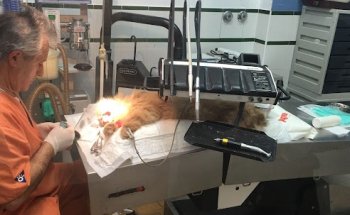 Nexo Veterinario Huelva