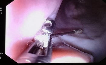 Clínica Veterinaria Animal-Vetx El Saladillo