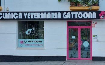 CLINICA VETERINARIA GATTOCAN