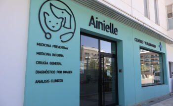 Ainielle Centro Veterinario