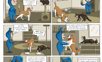 Clínica Veterinaria Cairasco