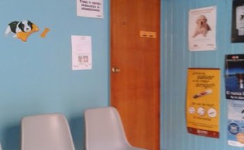 Consulta Veterinaria San Marcos