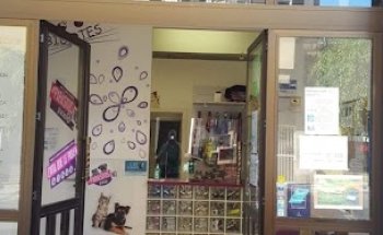 Centro veterinario Bigotes