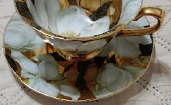 Clínica Veterinaria Asturcan