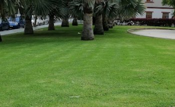 Centro Veterinario Urquican