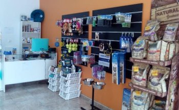 Centro Veterinario BOLICHE - Veterinario en Las Palmas de Gran Canaria