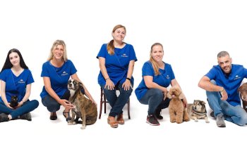 Peluditos centro veterinario