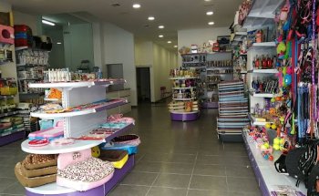 Clínica Veterinaria Santa Catalina