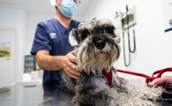 Hospital Veterinari de Lleida