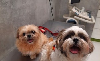 Centre Veterinari del Segre