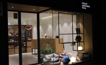 Clínica Veterinària L' Arca