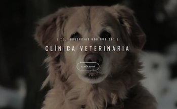 Clínica Veterinaria San Froilan