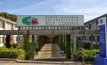 Hospital Veterinario Rof Codina