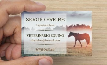 Veterinario Equino. Sergio Freire