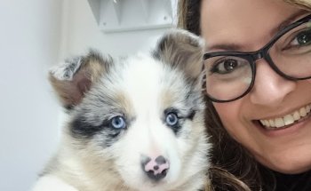 Clinica Veterinaria Mascotiti, Urgencias 24 horas