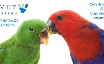 Clínica Veterinaria Exovet