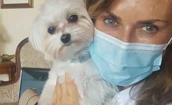 Ibone Olondriz veterinario a domicilio