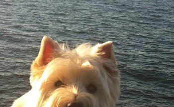 Clínica Veterinaria Caservet Arganzuela