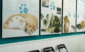 Urgencias veterinarias de Madrid