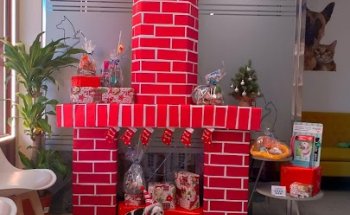 Tu Dogtora Clínica Veterinaria