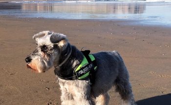 Centro Veterinario Pío XII