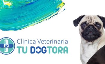 Clínica Veterinaria Tu Dogtora