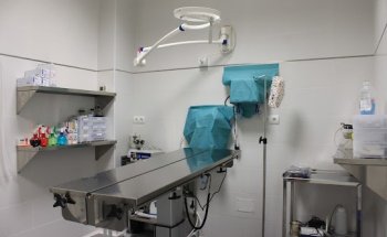 Clinica Veterinaria MadridRio