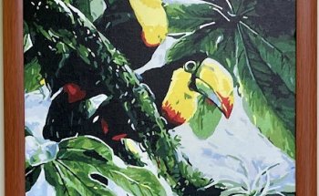 Clínica Veterinaria Tucán (CITA PREVIA )