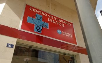 Centro Veterinario Pintos