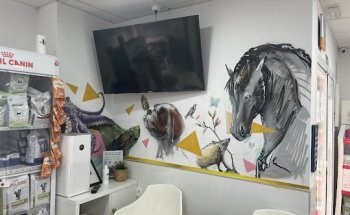 Clínica Veterinaria San Francisco de Asís